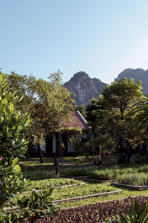 Aravinda Resort Ninh Binh